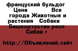 француский бульдог › Цена ­ 40 000 - Все города Животные и растения » Собаки   . Башкортостан респ.,Сибай г.